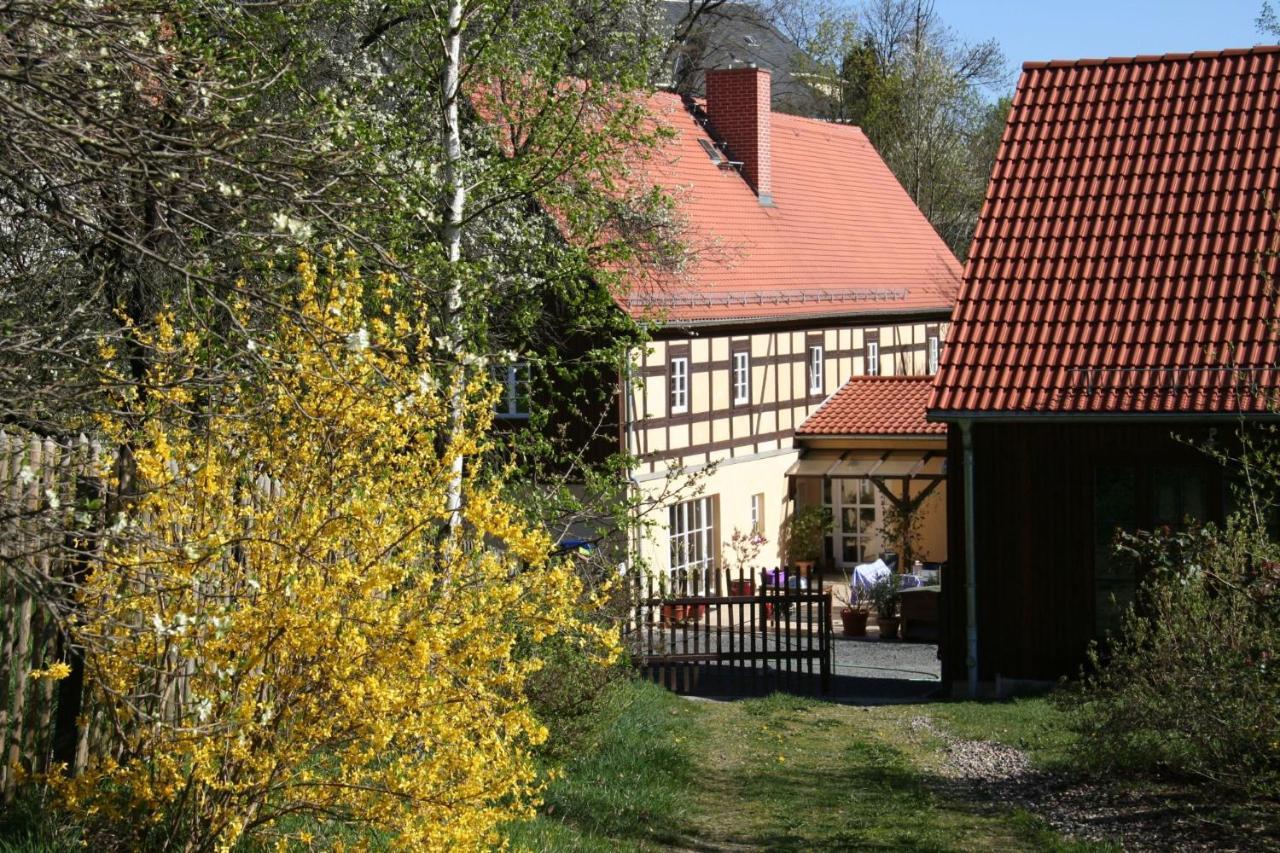 Fachwerkhaus Maxen Villa Muglitztal Eksteriør billede
